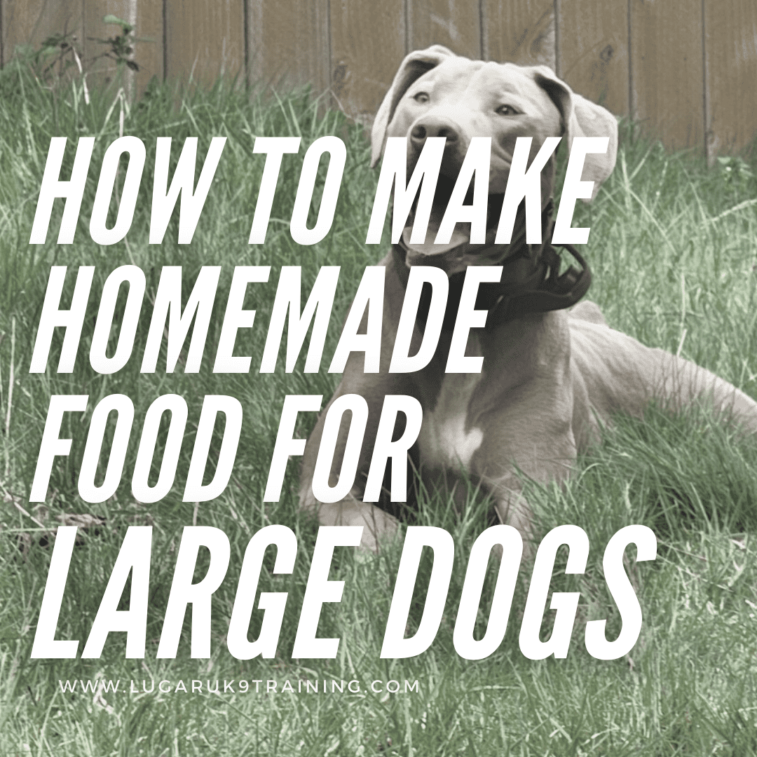 How To Use A Meat Grinder To Make Homemade Pet Food 