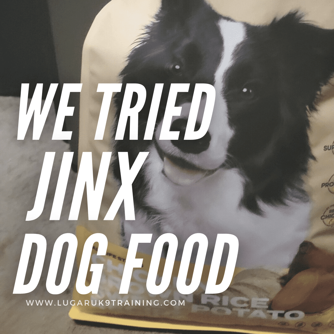 jinx dog food review