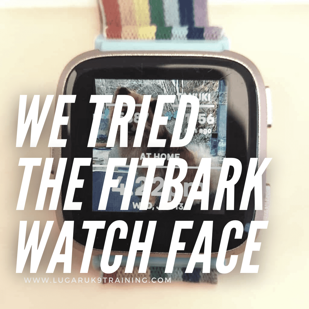 fitbark fitbit watch face review